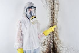 Trusted Pleasanton, TX Mold Inspection Experts